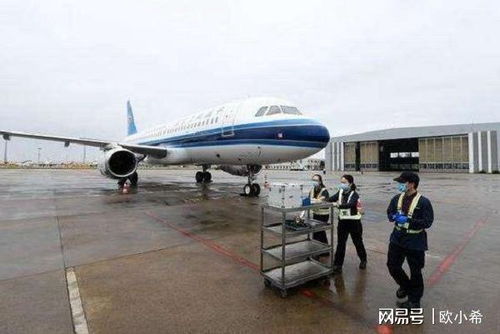 国门为同胞而开，航空服务筑牢防疫长城